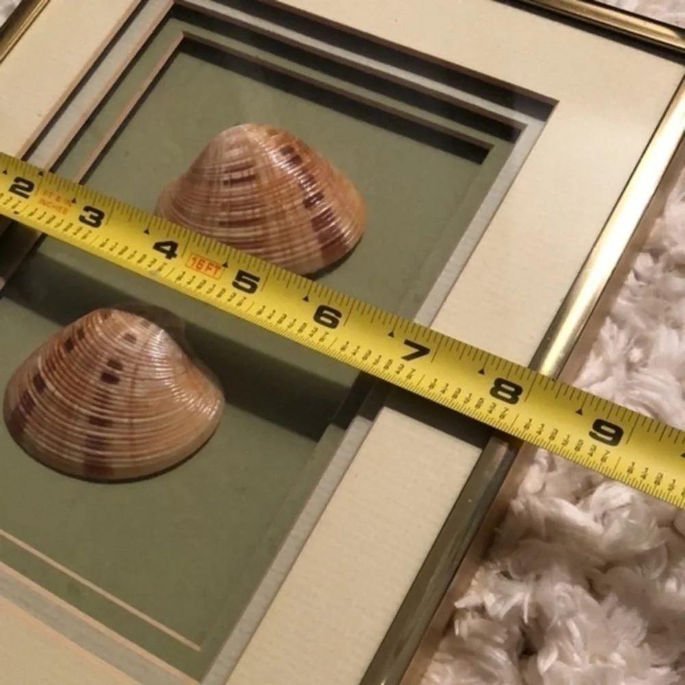 Vintage 1980s 1990s SEASHELL ART | Gold Frame 8”x10”